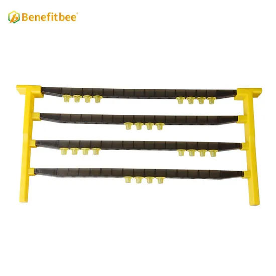 Queen Bee Beekeeping Tools Queen Rearing Frame Kit